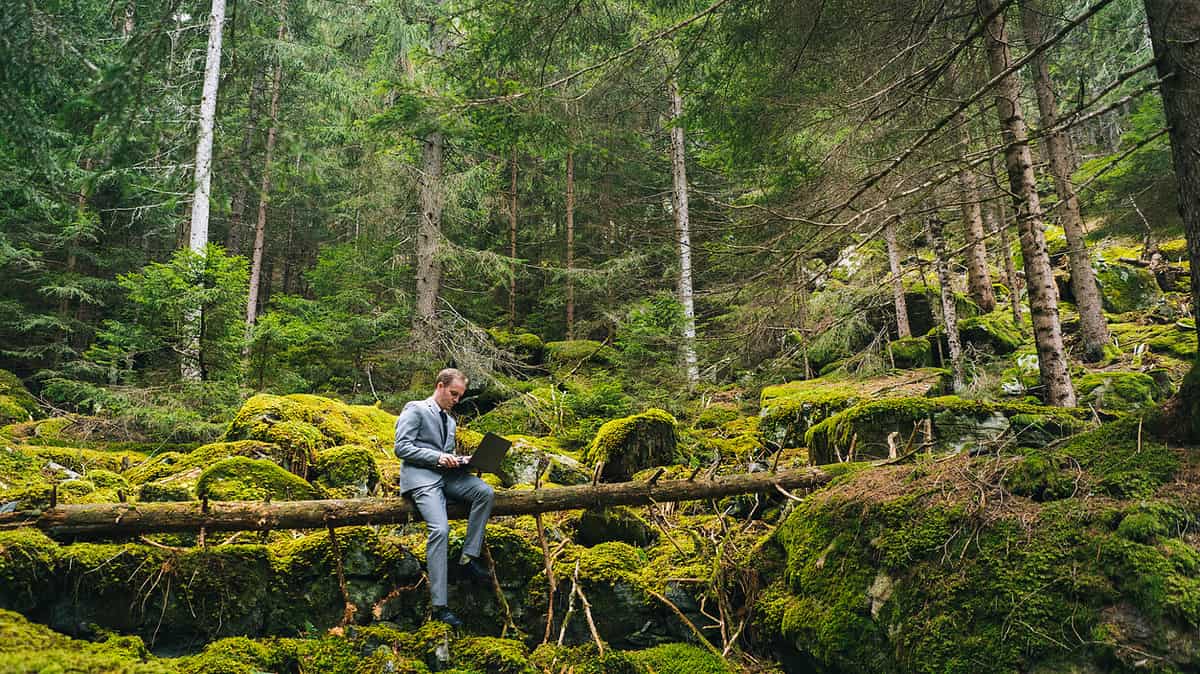 Business man works remotely in lush forest in the morning